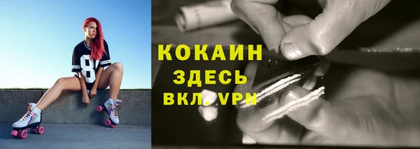 ПСИЛОЦИБИНОВЫЕ ГРИБЫ Новодвинск