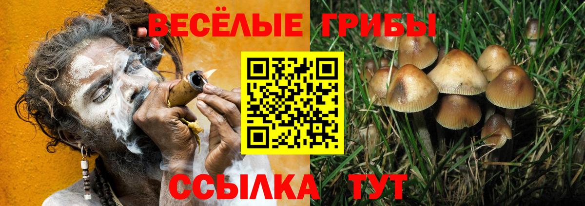 Псилоцибиновые грибы Magic Shrooms  Вход с VPN  Псилоцибиновые грибы MAGIC MUSHROOMS  Сарапул 